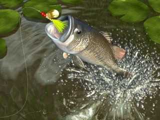bass